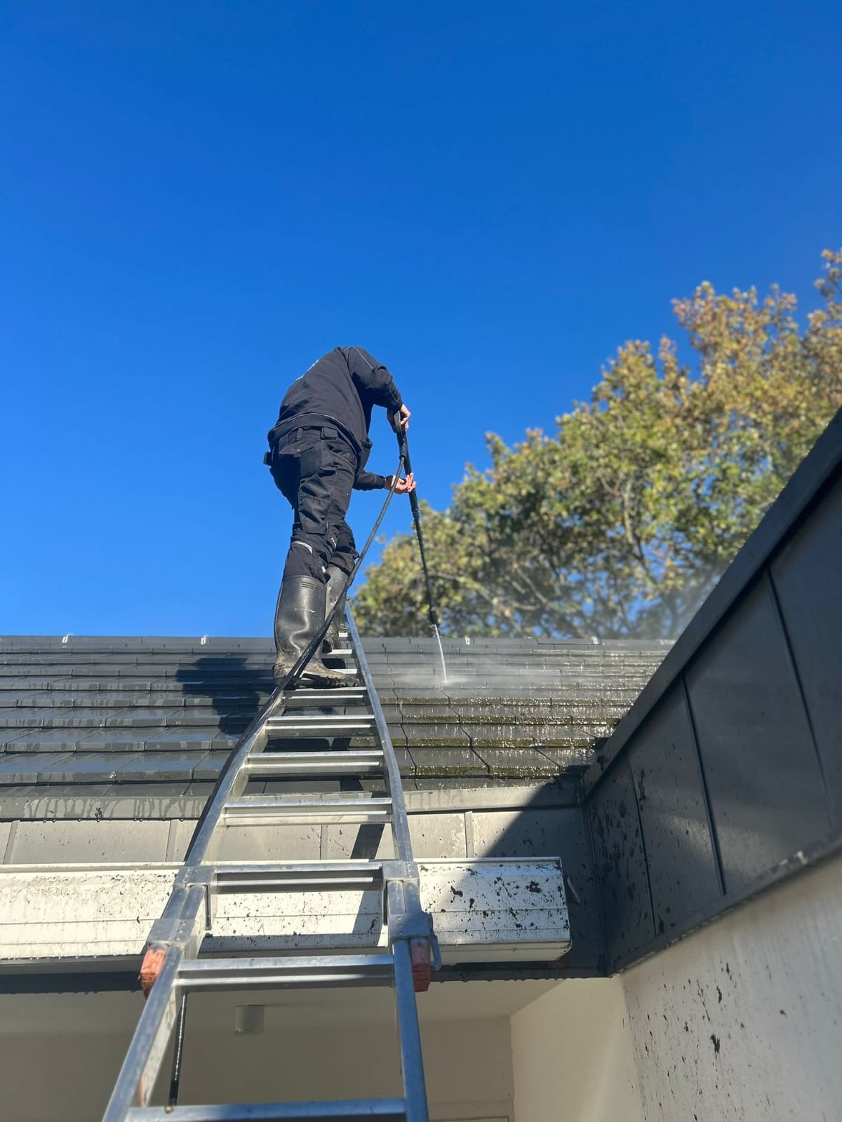 WhatsApp Image 2025-10-07 at 18.26.13 (1)